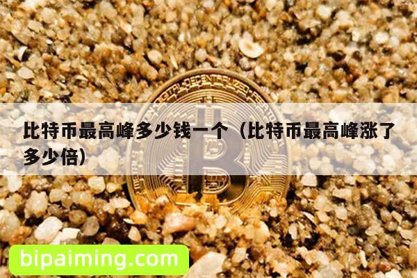 比特币最高峰多少钱一个（比特币最高峰涨了多少倍）