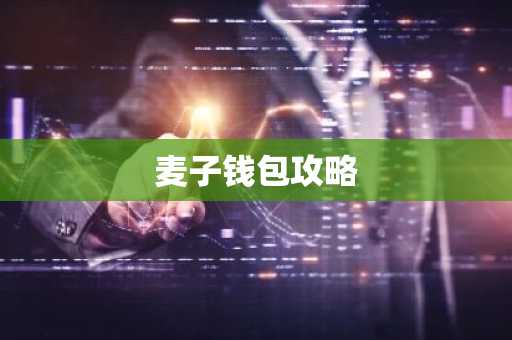 麦子钱包攻略