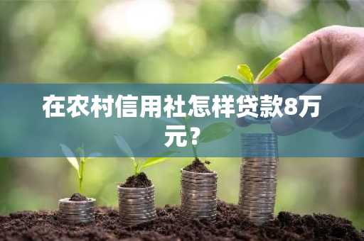 在农村信用社怎样贷款8万元？