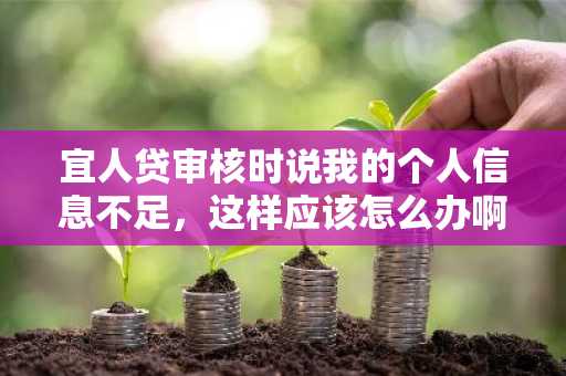 宜人贷审核时说我的个人信息不足，这样应该怎么办啊？