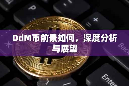 DdM币前景如何，深度分析与展望