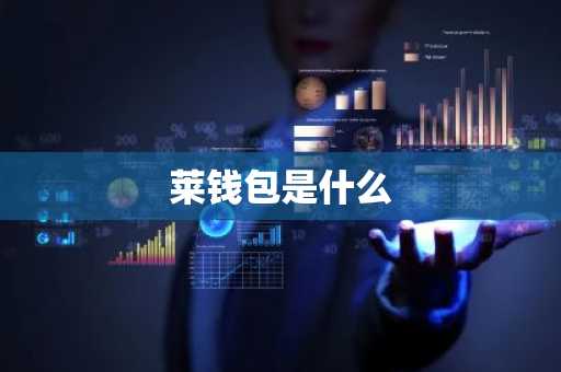 莱钱包是什么