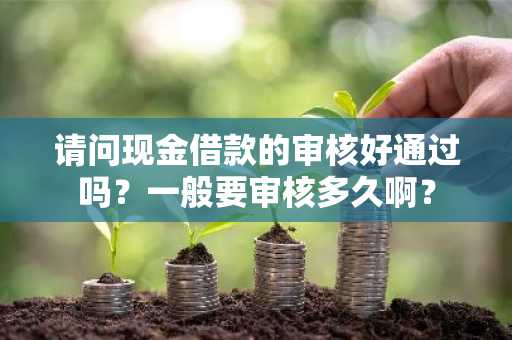 请问现金借款的审核好通过吗？一般要审核多久啊？