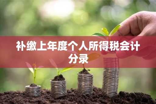 补缴上年度个人所得税会计分录