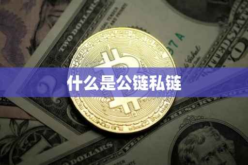 什么是公链私链