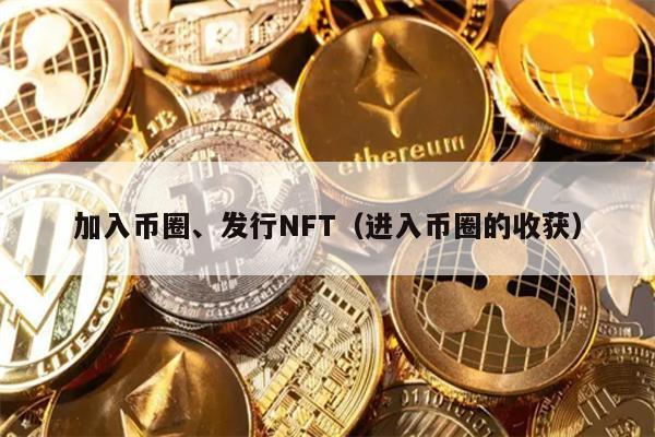加入币圈、发行NFT（进入币圈的收获）