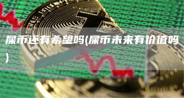 屎币还有希望吗 - 屎币未来有价值吗