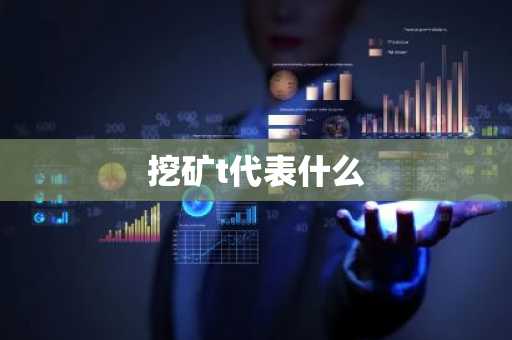 挖矿t代表什么
