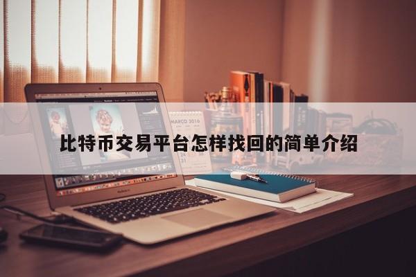 比特币交易平台怎样找回的简单介绍