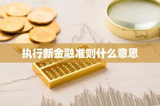 执行新金融准则什么意思