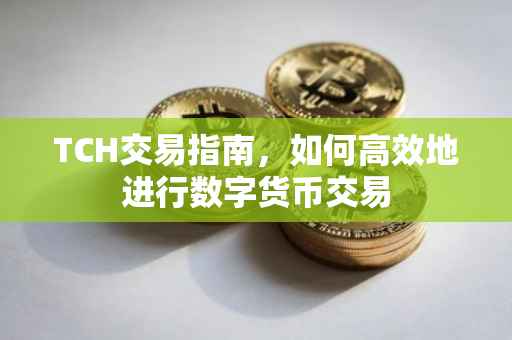 TCH交易指南，如何高效地进行数字货币交易