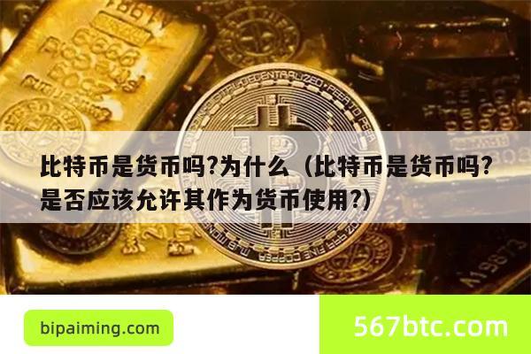 比特币是货币吗?为什么（比特币是货币吗?是否应该允许其作为货币使用?）