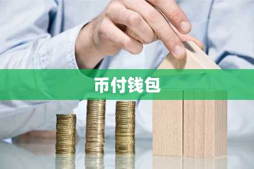 币付钱包