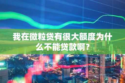 我在微粒贷有很大额度为什么不能贷款啊？