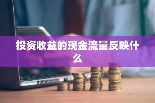 投资收益的现金流量反映什么
