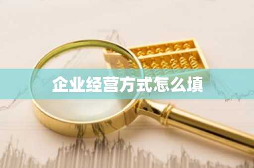 企业经营方式怎么填