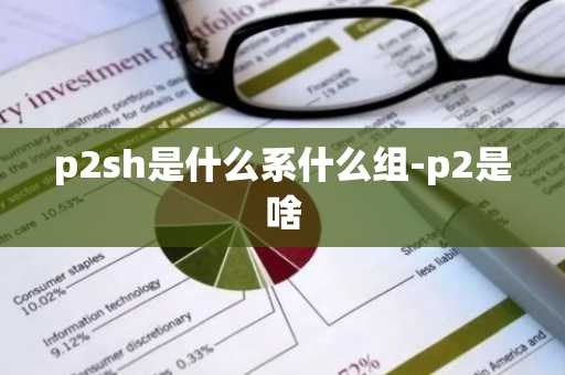p2sh是什么系什么组-p2是啥