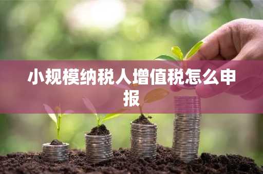 小规模纳税人增值税怎么申报