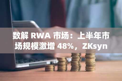 数解 RWA 市场：上半年市场规模激增 48%，ZKsync “逆袭”成第二大公链