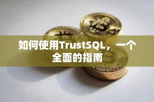 如何使用TrustSQL，一个全面的指南