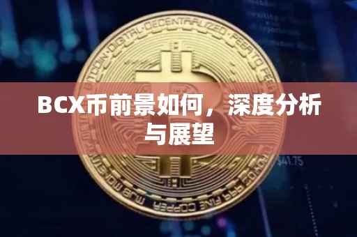 BCX币前景如何，深度分析与展望
