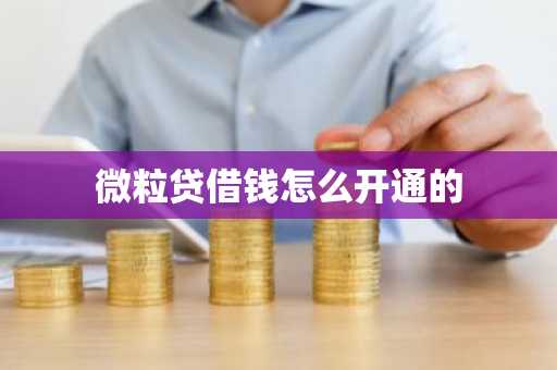 微粒贷借钱怎么开通的