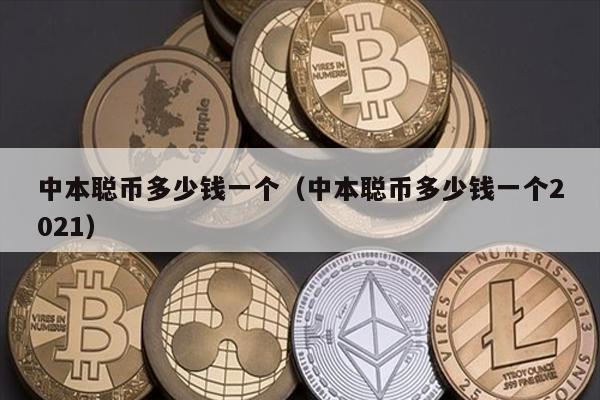 中本聪币多少钱一个（中本聪币多少钱一个2021）