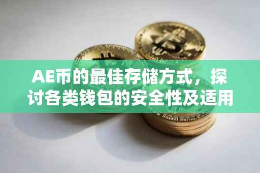 AE币的最佳存储方式，探讨各类钱包的安全性及适用性