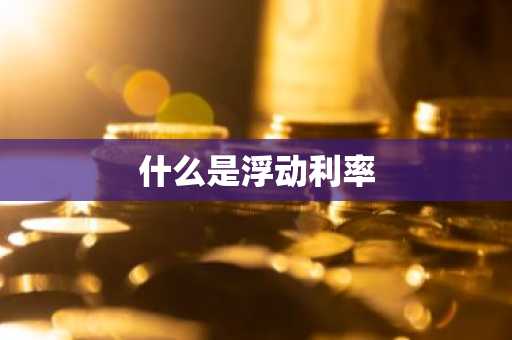 什么是浮动利率