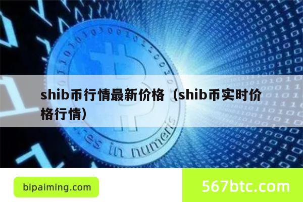 shib币行情最新价格（shib币实时价格行情）