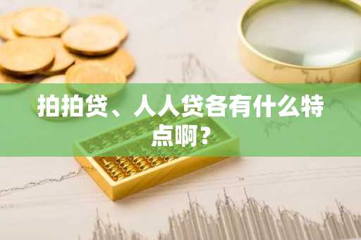 拍拍贷、人人贷各有什么特点啊？