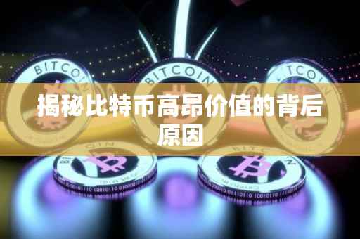 揭秘比特币高昂价值的背后原因