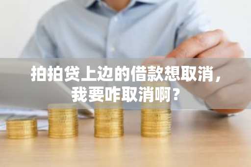 拍拍贷上边的借款想取消，我要咋取消啊？