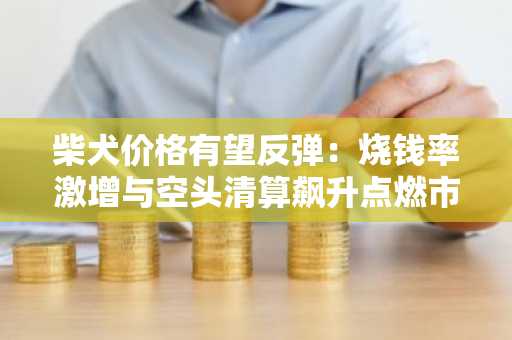柴犬价格有望反弹：烧钱率激增与空头清算飙升点燃市场乐观情绪