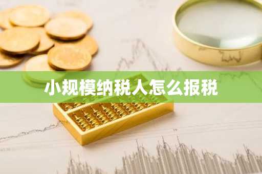 小规模纳税人怎么报税