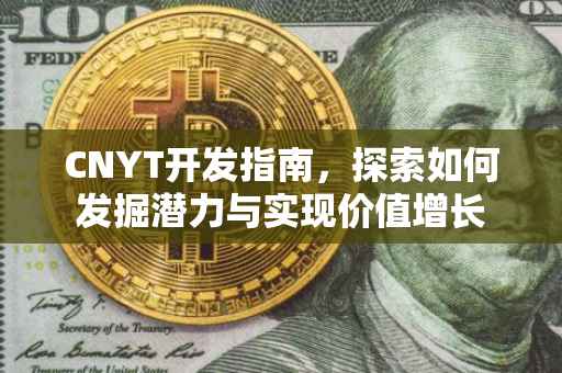 CNYT开发指南，探索如何发掘潜力与实现价值增长