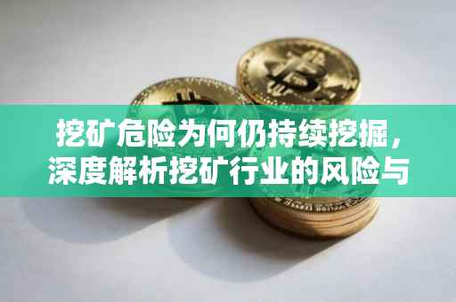 挖矿危险为何仍持续挖掘，深度解析挖矿行业的风险与吸引力