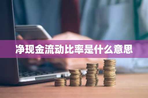 净现金流动比率是什么意思