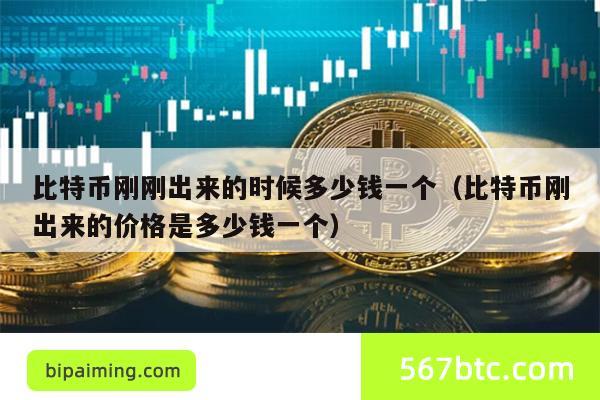 比特币刚刚出来的时候多少钱一个（比特币刚出来的价格是多少钱一个）
