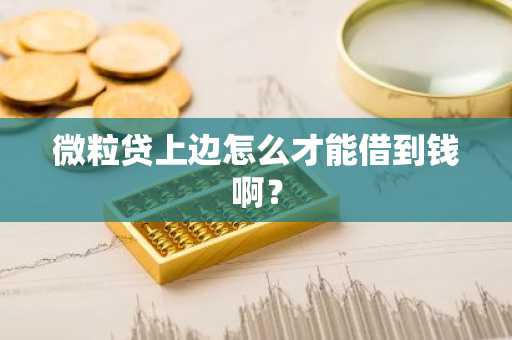微粒贷上边怎么才能借到钱啊？