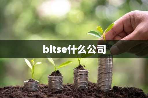 bitse什么公司
