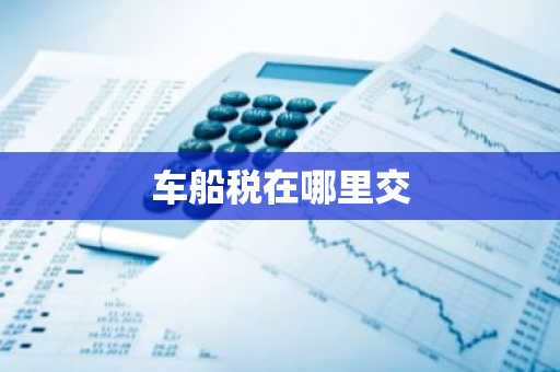 车船税在哪里交