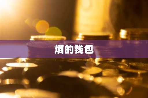 熵的钱包