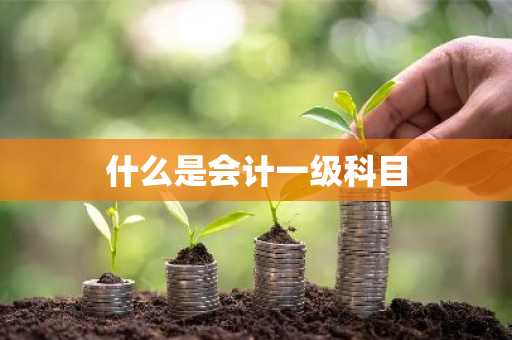 什么是会计一级科目
