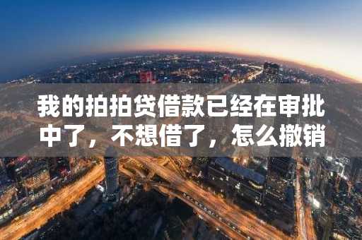 我的拍拍贷借款已经在审批中了，不想借了，怎么撤销？