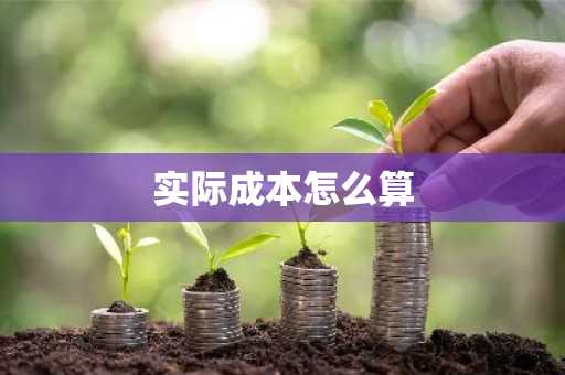实际成本怎么算