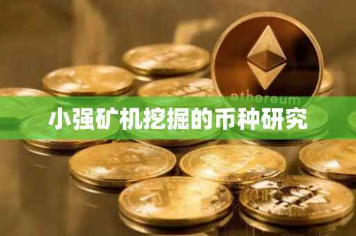 小强矿机挖掘的币种研究