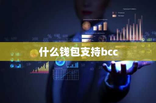 什么钱包支持bcc