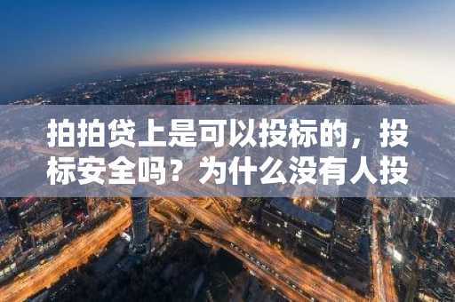 拍拍贷上是可以投标的，投标安全吗？为什么没有人投标？请好心人士告知。