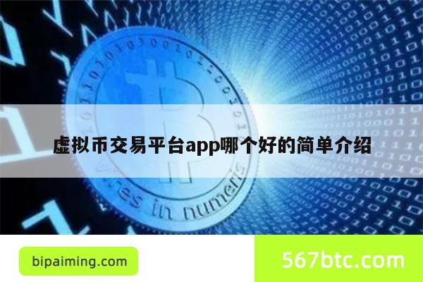 虚拟币交易平台app哪个好的简单介绍